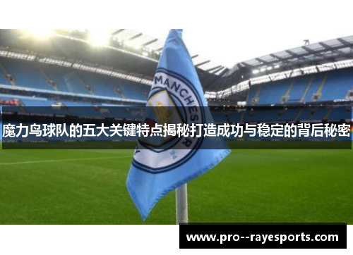 魔力鸟球队的五大关键特点揭秘打造成功与稳定的背后秘密